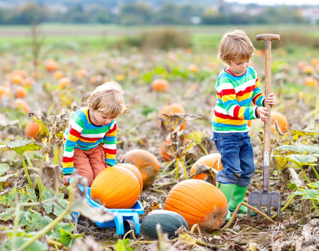 Fall activities to promote speech and language